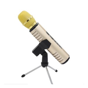 2020 OEM professional Microphone Karaoke, K song condenser Microphone